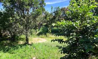 Imagem 5: Casa 03 Qtos - Lote 600m2 - Alexânia/Go