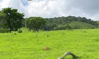 Imagem 7: Terreno em campo verde