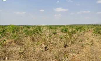 Imagem 7: FAZENDA Á VENDA EM BALSAS - MA - 410 HECTARES (DUPLA APTIDÃO