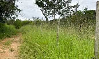 Imagem 3: Vendo lote em igarapé