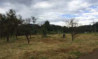 Imagem: Área Venda Paulínia Betel