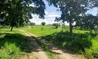 Imagem 3: Fazenda a Venda em Padre BERNADO - GO