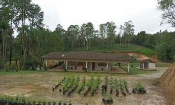 Imagem 2: Excelente sitio a venda com 11 Alqueires. Tel. *