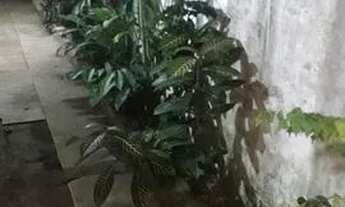 Imagem 3: Alugo casa no Médici I, Marambaia (na rua da marinha)