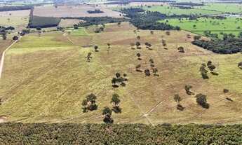 Imagem: 44 alqueires - Excelente aproveitamento