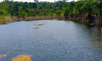 Imagem: Fazenda Sítio Chácara Terreno Iranduba