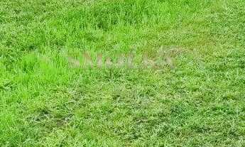 Imagem 2: TERRENO EM CONDOMÍNIO NA CACHOEIRA.