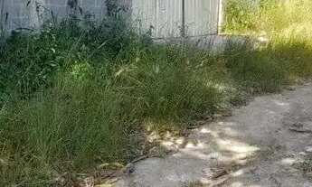 Imagem 5: Excelente área/ terreno