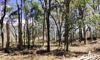 Imagem 5: Terreno Condomínio Condado Altos da Mantiqueira