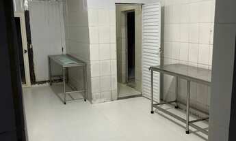 Imagem 7: Galpão/aluguel Câmara frigorífica/distribuidora 295 m²