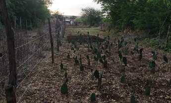 Imagem 7: Casa/terreno Terreno / lote com venda por R$20.000