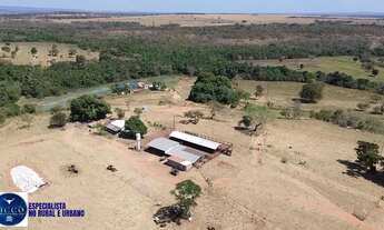 Imagem 3: Fazenda de Alto Padrão à Venda 80 Alqueires Próximo a Bom Jardim (GO