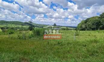 Imagem 11: Fazenda 414 alqueires (2.007 hectares) Caiapônia - Go