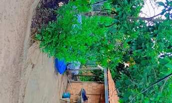 Imagem 6: Chácara a venda