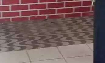 Imagem 7: Alugo Casa Jardins das Oliveiras