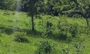 Imagem 6: Chácara próximo a Anápolis 03 alqueires