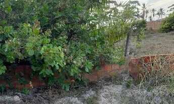 Imagem: Terreno no Porto do mato em estância