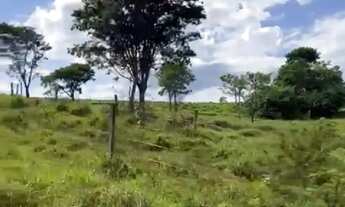 Imagem 2: Fazenda cultura 614 hectares completa negocio aceito trocas