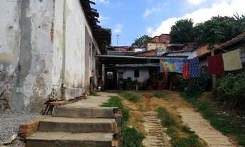 Imagem 4: Terreno em Vila Pereira Barreto - São Paulo, SP