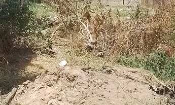 Imagem 4: Vende-se Terreno na Ilha da Croa, praticamente à beira Mar