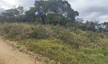 Imagem 6: Excelente terreno