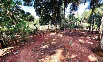 Imagem 4: Chácara Produtiva à Venda em Rio Verde