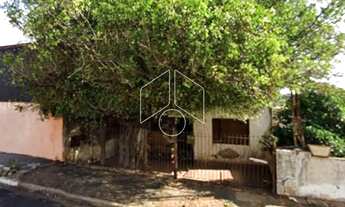 Imagem 2: Lote/Alto Cafezal/Região Central