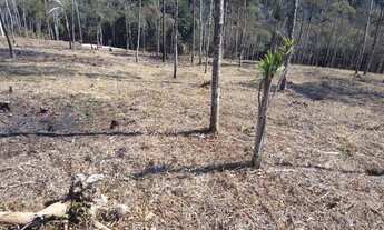 Imagem: Chacara belas Áreas Roseira Colombo/ Campina