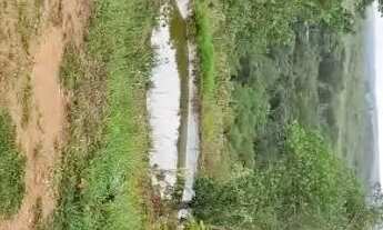 Imagem: Vende-se chácara