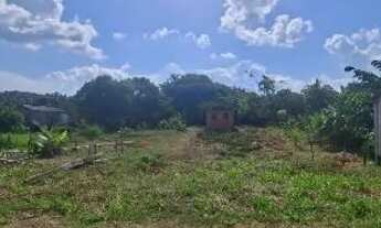 Imagem 5: Terreno na estrada de Autazes km 53