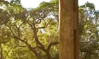 Imagem 7: Linda pousada para venda em Itapeva MG