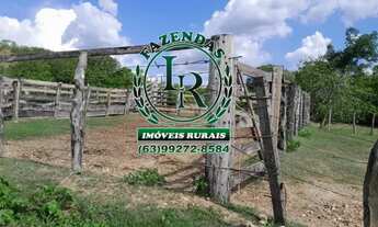 Imagem 7: Fazenda 100 Aqueires Dupla Aptidão Tocantins