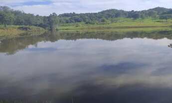 Imagem 4: Fazenda Goias velho 13,1 alqueires