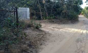 Imagem 4: Terreno para chácara