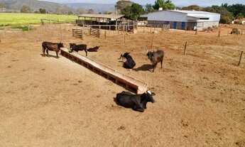 Imagem 7: Fazenda Recanto da Sucupira-Gleba 06 em Paracatu-MG - 125 Hectares R$ 12.000.000,00