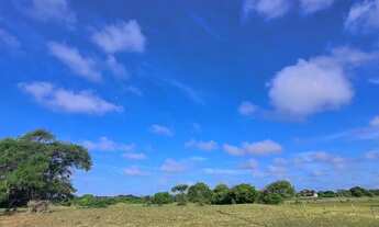 Imagem 6: VENDO ÁREA SAO JOÃO DA BARRA