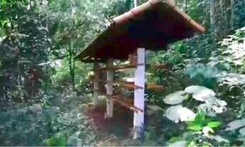 Imagem 6: Chácara à venda em Santa Branca-SP