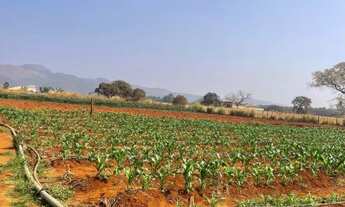 Imagem: Chácara em local sossegado