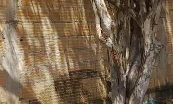 Imagem 4: Lote de esquina . Cidade Ocidental Nova Friburgo