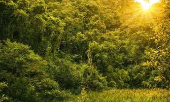 Imagem 3: Poucos terrenos disponíveis em localização privilegiada