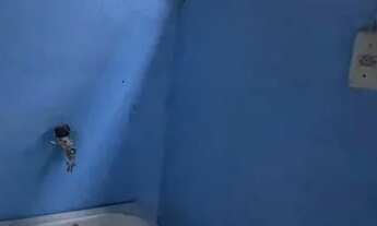 Imagem 3: Casa 2 quartos pagou entrou luz e agua isento