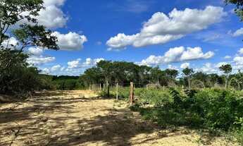 Imagem 5: Vendo excelentes Chácaras a partir de 1.000 m², topografia plana, terra de cultivo