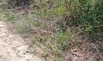 Imagem: Terreno 600m2