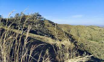 Imagem 3: Fazenda Planaltina 192 hectares pode ser escriturada