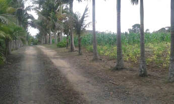 Imagem 6: Chácara em Piçarras 15.000 m² C/ Piscina