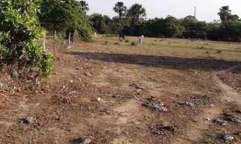 Imagem 3: FAZENDA À VENDA EM CENTENARIO - TO - DE 246 ALQUEIRÕES (Dupla Aptidão