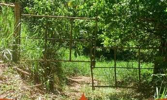 Imagem 7: Chácara 10 mil metros proximo a Cahoeira do Porto