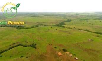 Imagem 11: FAZENDA À VENDA EM CONCEIÇÃO DO ARAGUAIA-PA-4.855 HECTARES (DUPLA APTIDÃO