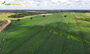 Imagem 6: FAZENDA À VENDA EM DOIS IRMÃOS - TO - 427 HECTARES (DUPLA APTIDÃO