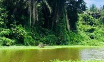 Imagem 5: SITIO RESIDENCIAL em CAMAÇARI - BA, BARRA DO POJUCA (MONTE GORDO